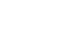 Vector